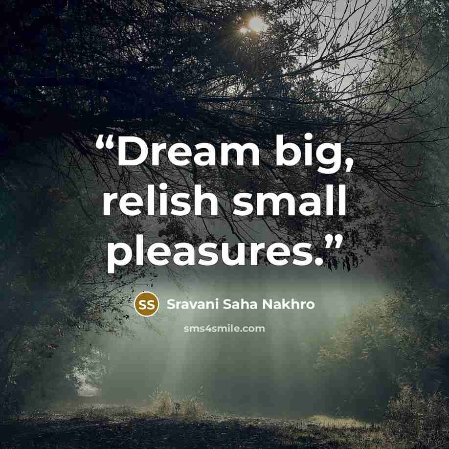 “Dream big, relish small pleasures.” quote by Sravani Saha Nakhro