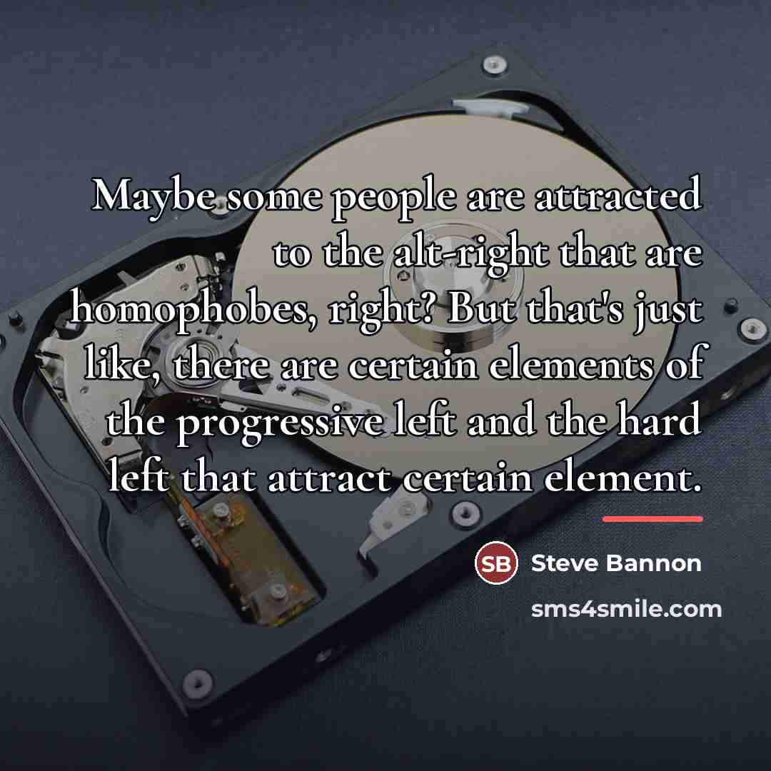 “Maybe some people are attracted to the alt-right that are…” quote by Steve Bannon