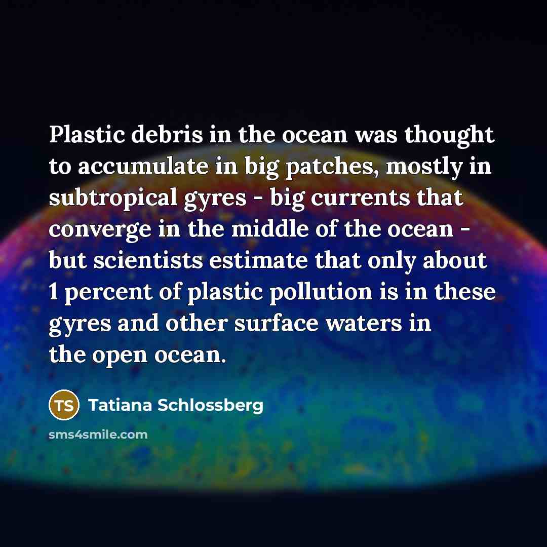 “Plastic debris in the ocean was thought to accumulate in…” quote by Tatiana Schlossberg
