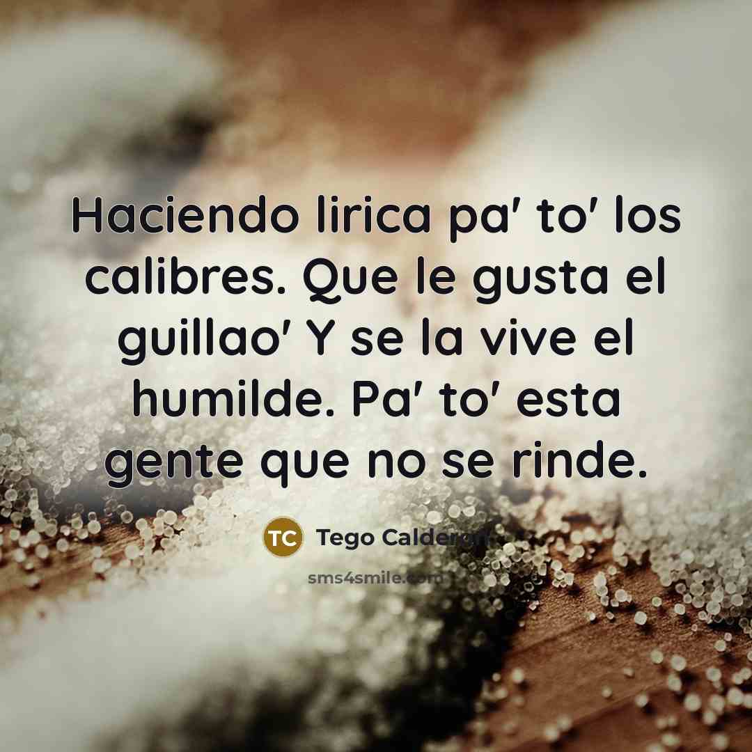 “Haciendo lirica pa' to' los calibres. Que le gusta el…” quote by Tego Calderon