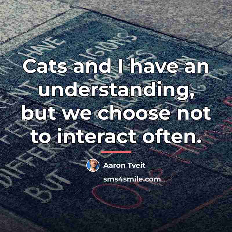 “Cats and I have an understanding, but we choose not…” quote by Aaron Tveit
