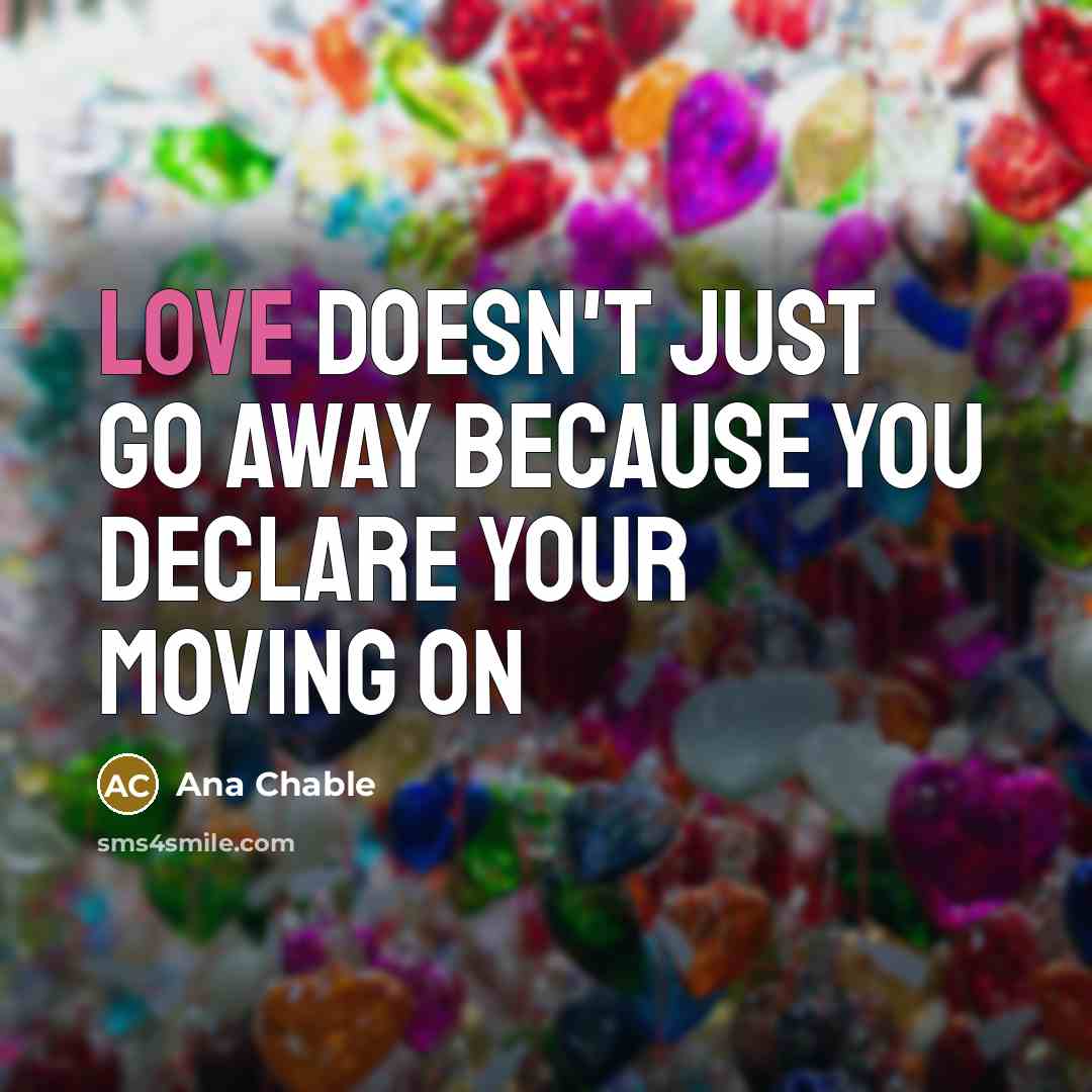 “Love doesn't just go away because you declare your moving…” quote by Ana Chable