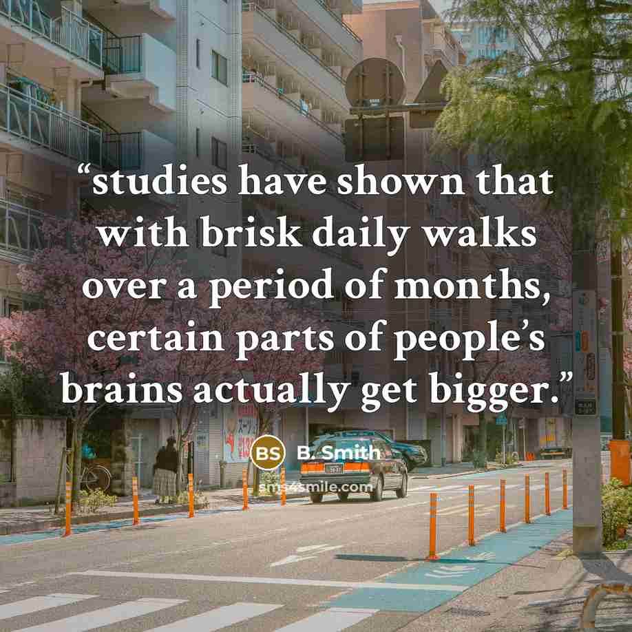 “studies have shown that with brisk daily walks over a period of months, certain parts of people’s brains actually get bigger.” quote by B. Smith