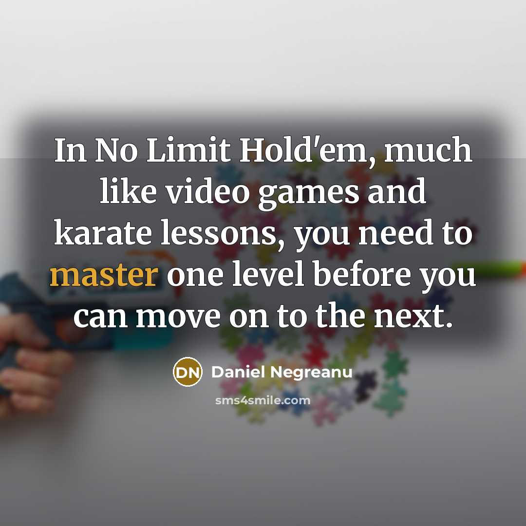 “In No Limit Hold'em, much like video games and karate lessons, you need to master one level before you can move on to the next.” quote by Daniel Negreanu
