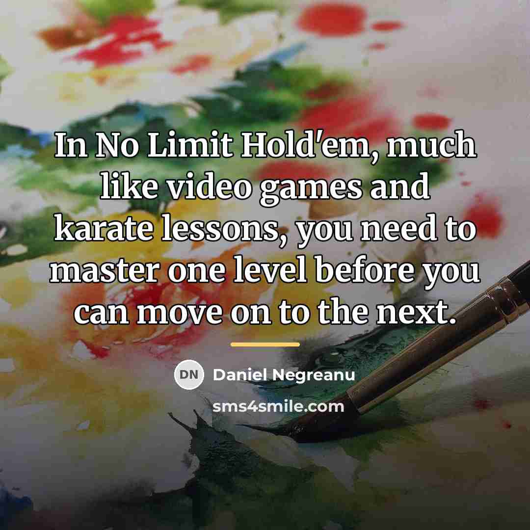 “In No Limit Hold'em, much like video games and karate…” quote by Daniel Negreanu