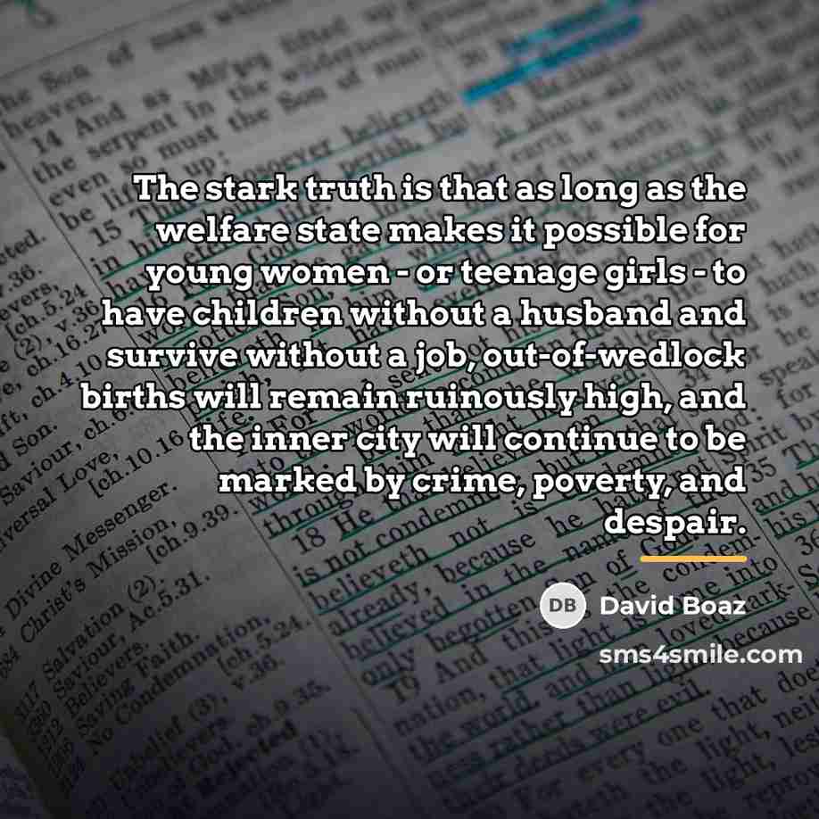 “The stark truth is that as long as the welfare…” quote by David Boaz