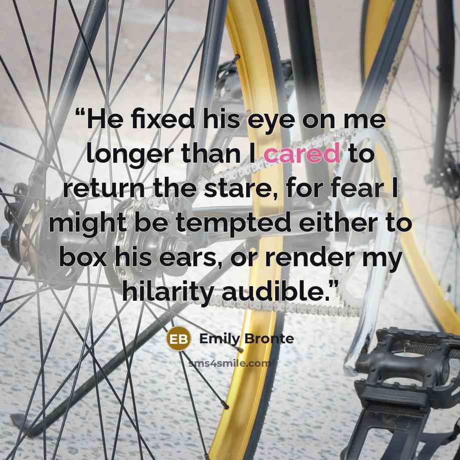 “He fixed his eye on me longer than I cared to return the stare, for fear I might be tempted either to box his ears, or render my hilarity audible.” quote by Emily Brontë