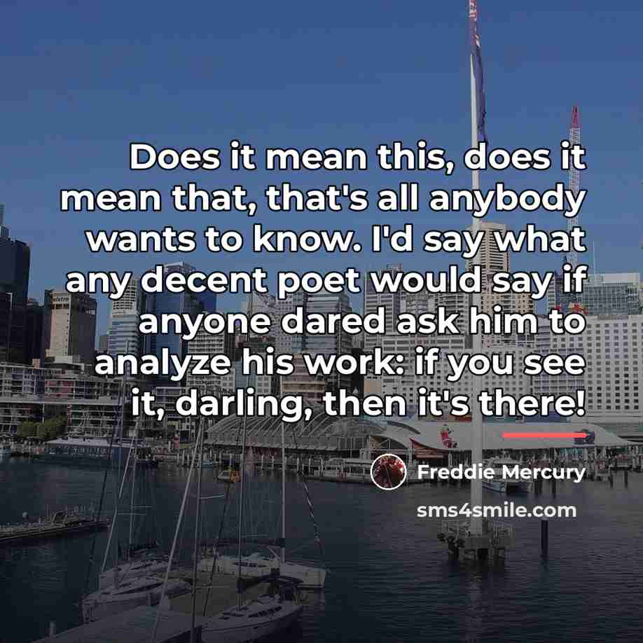“Does it mean this, does it mean that, that's all…” quote by Freddie Mercury