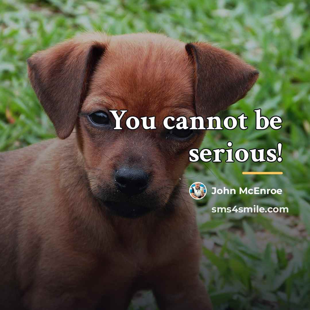 “You cannot be serious!…” quote by John McEnroe