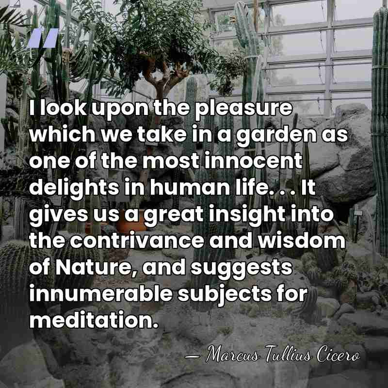 I look upon the pleasure which we take in a garden as&hellip; - Marcus Tullius Cicero