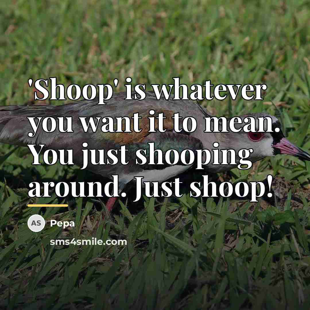 “'Shoop' is whatever you want it to mean. You just…” quote by Pepa