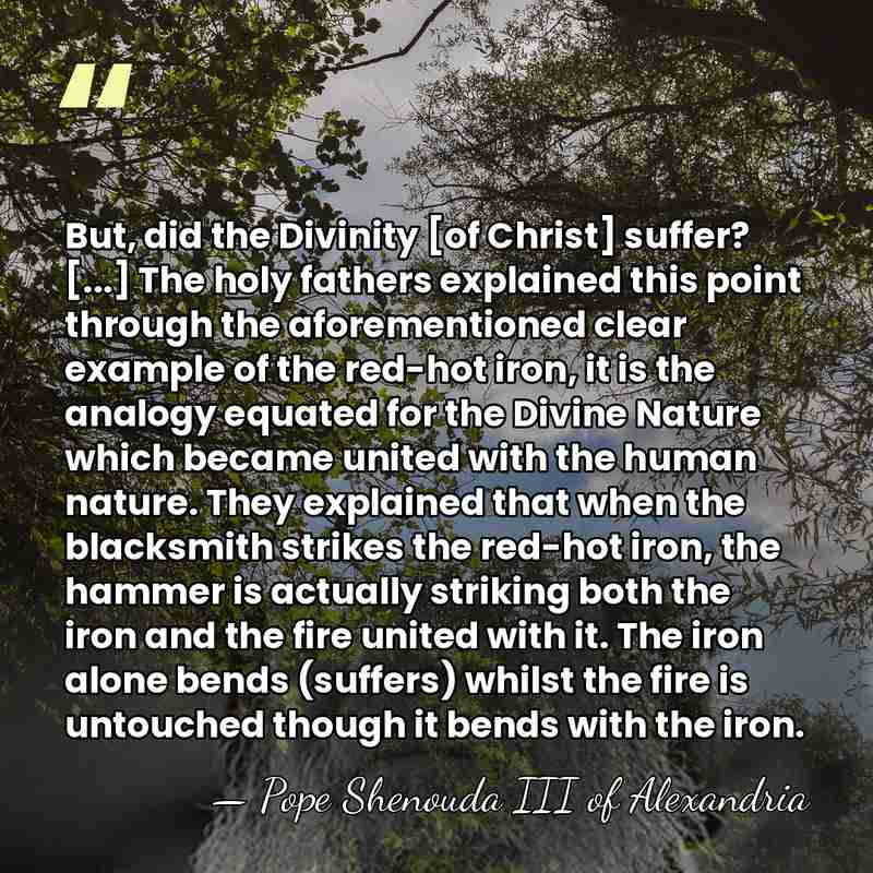 But, did the Divinity [of Christ] suffer? [...] The holy fathers explained&hellip; - Pope Shenouda III of Alexandria