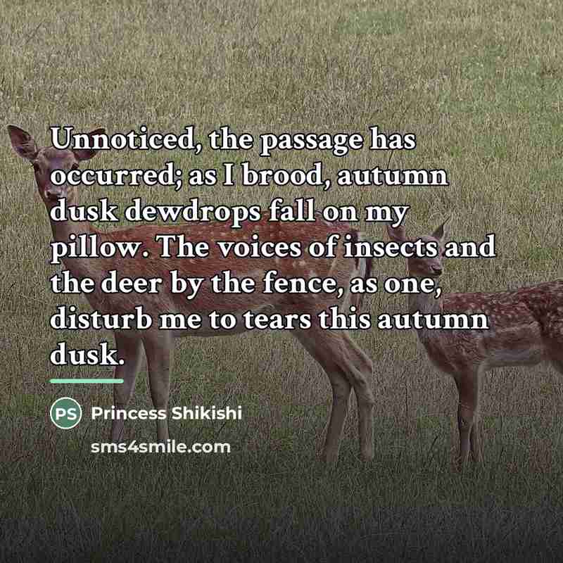 “Unnoticed, the passage has occurred; as I brood, autumn dusk…” quote by Princess Shikishi