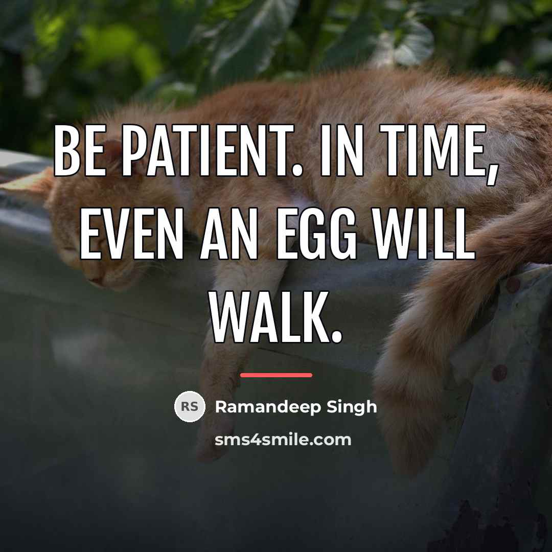 “Be patient. In time, even an egg will walk.…” quote by Ramandeep Singh