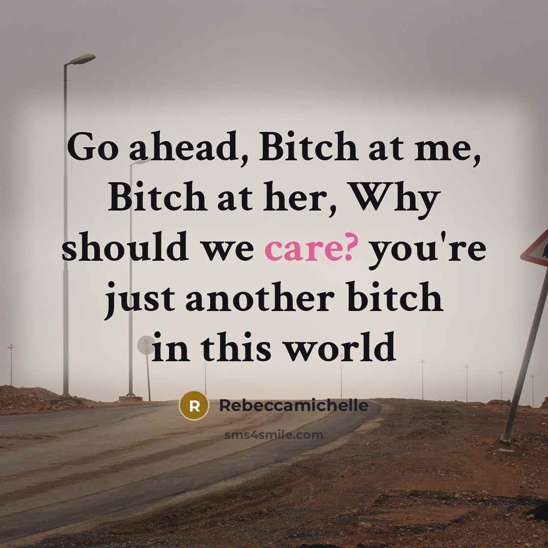 “Go ahead, Bitch at me, Bitch at her, Why should we care? you're just another bitch in this world” quote by Rebeccamichelle