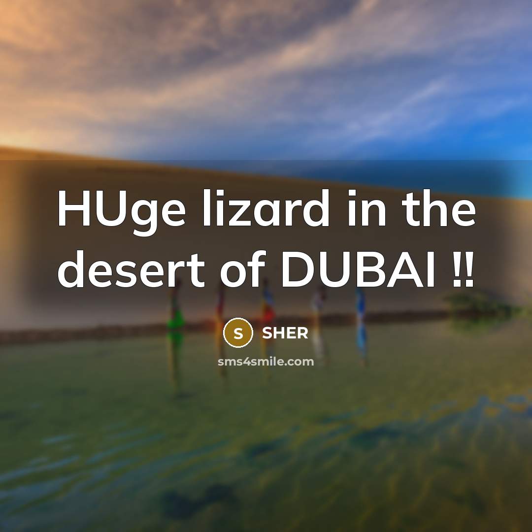 “HUge lizard in the desert of DUBAI !!” quote by SHER