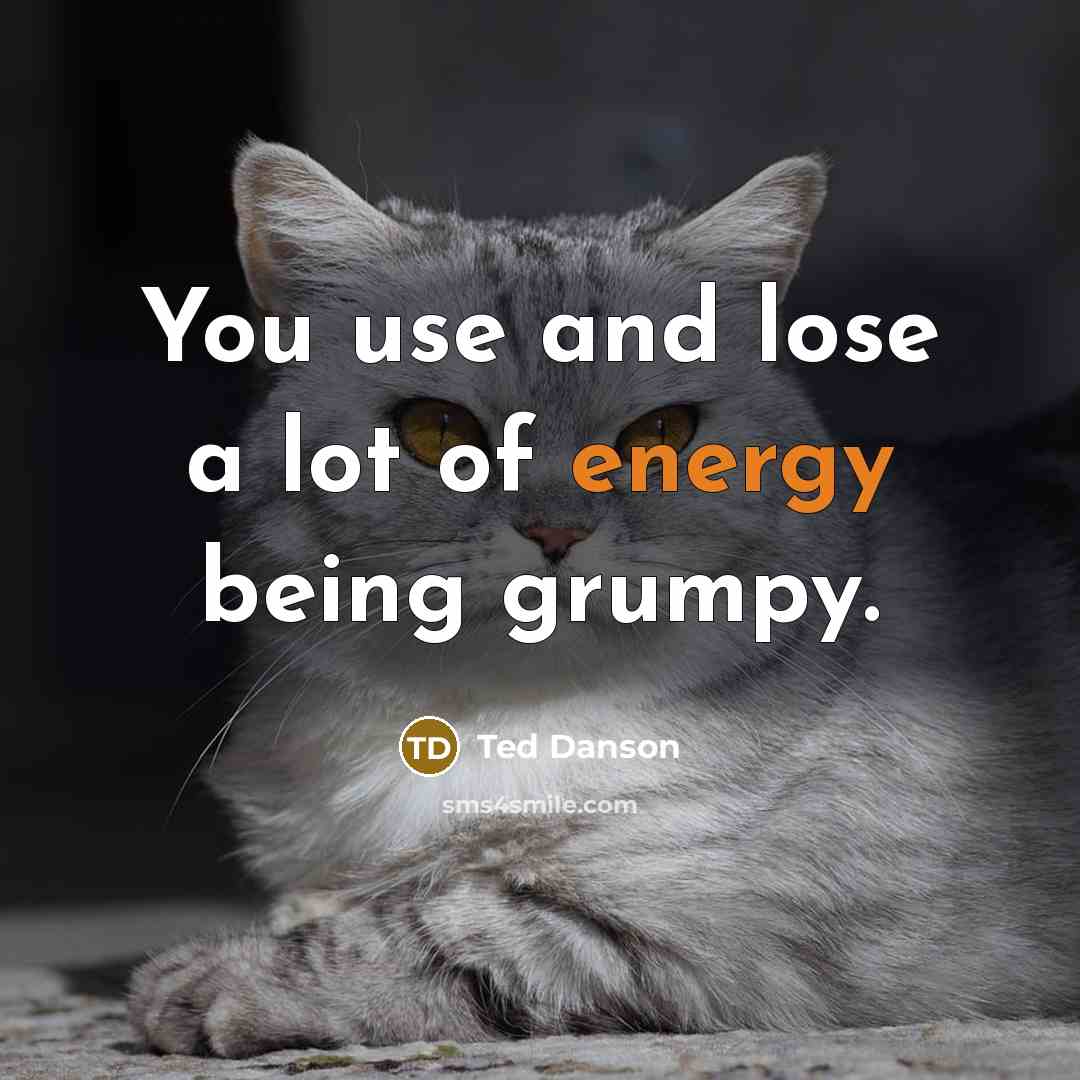 “You use and lose a lot of energy being grumpy.…” quote by Ted Danson