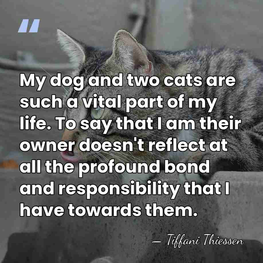 My dog and two cats are such a vital part of my&hellip; - Tiffani Thiessen