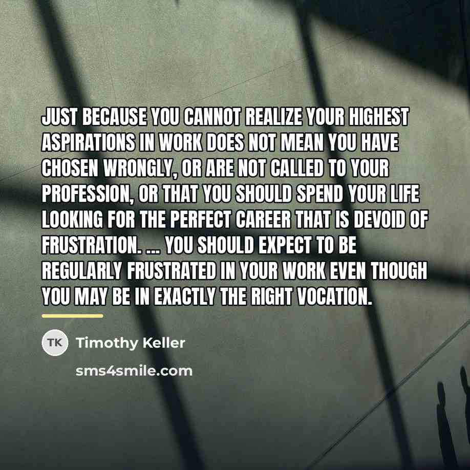 “Just because you cannot realize your highest aspirations in work…” quote by Timothy Keller