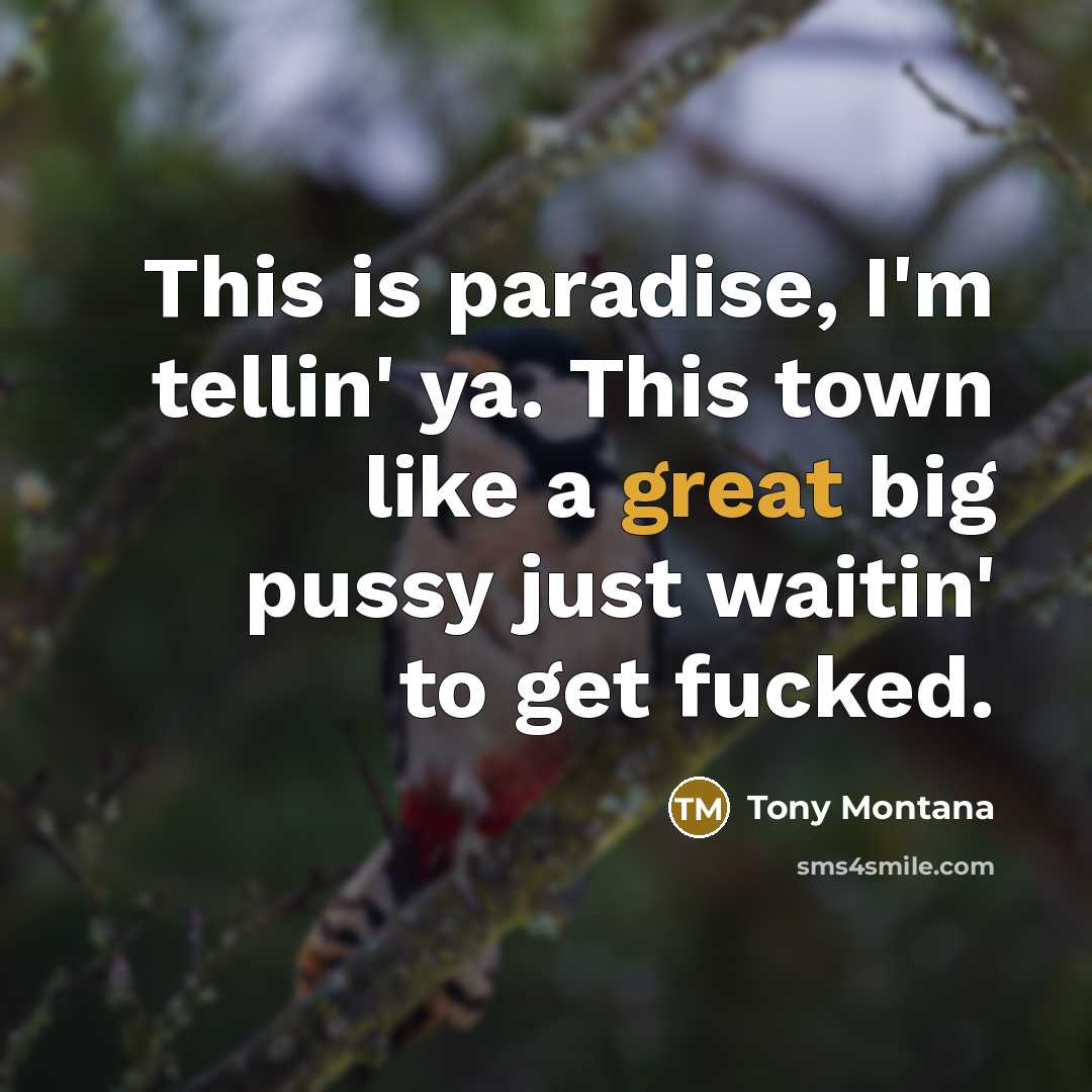 “This is paradise, I'm tellin' ya. This town like a…” quote by Tony Montana