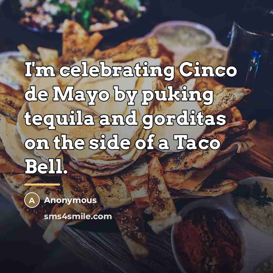 “I'm celebrating Cinco de Mayo by puking tequila and gorditas…” quote by Anonymous