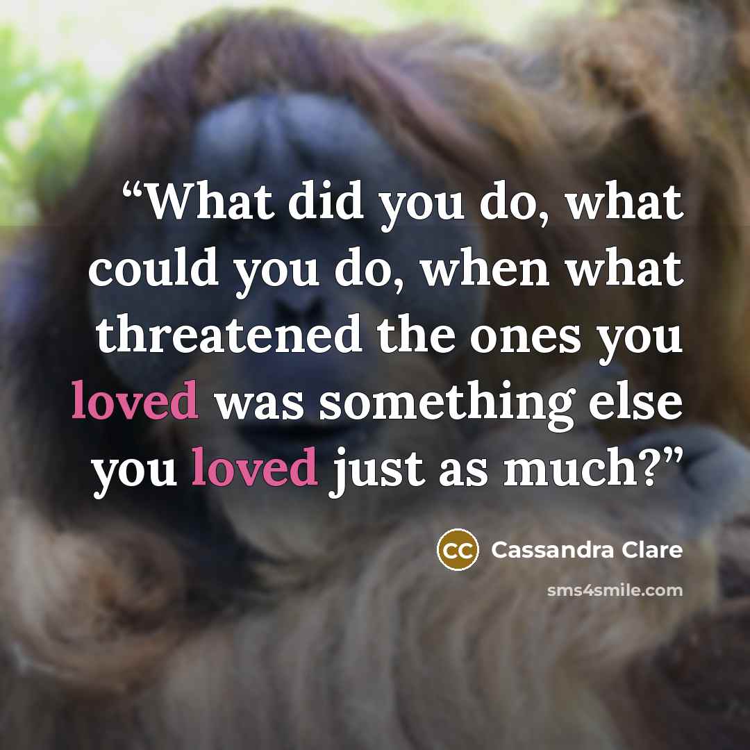 “What did you do, what could you do, when what threatened the ones you loved was something else you loved just as much?” quote by Cassandra Clare
