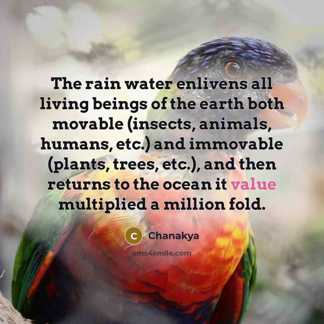 “The rain water enlivens all living beings of the earth…” quote by Chanakya