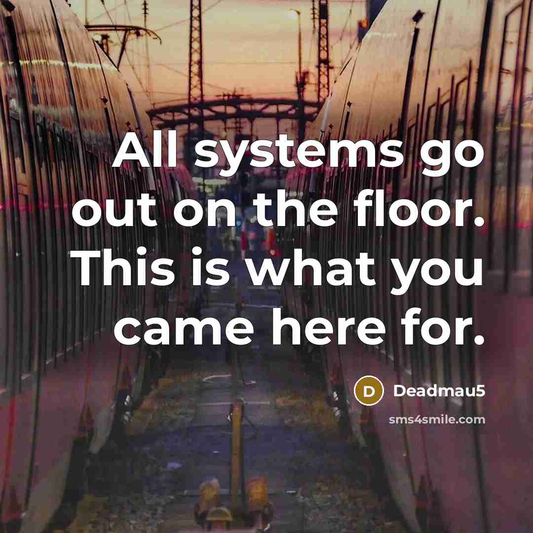 “All systems go out on the floor. This is what…” quote by Deadmau5