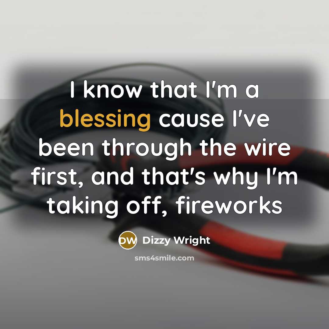 “I know that I'm a blessing cause I've been through the wire first, and that's why I'm taking off, fireworks” quote by Dizzy Wright