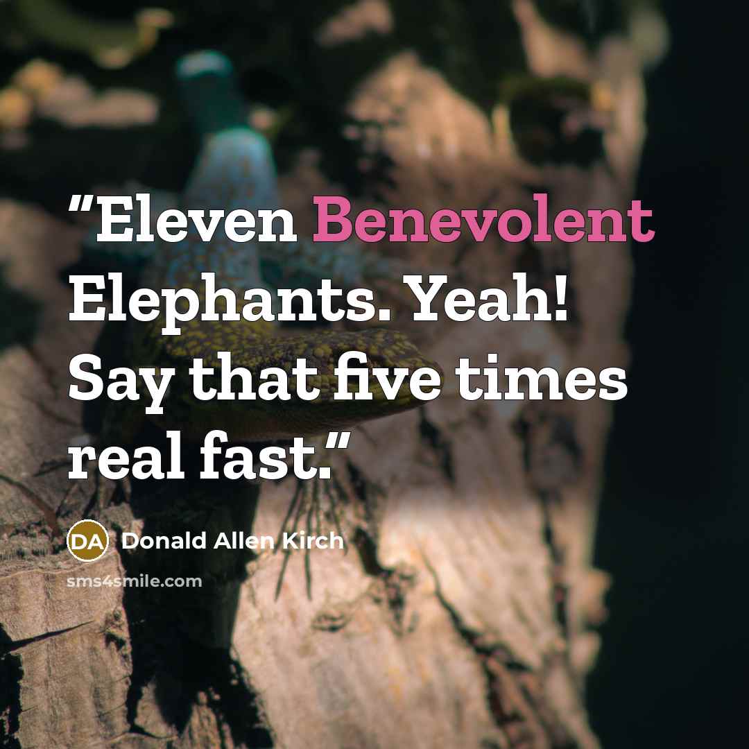 “Eleven Benevolent Elephants. Yeah! Say that five times real fast.” quote by Donald Allen Kirch