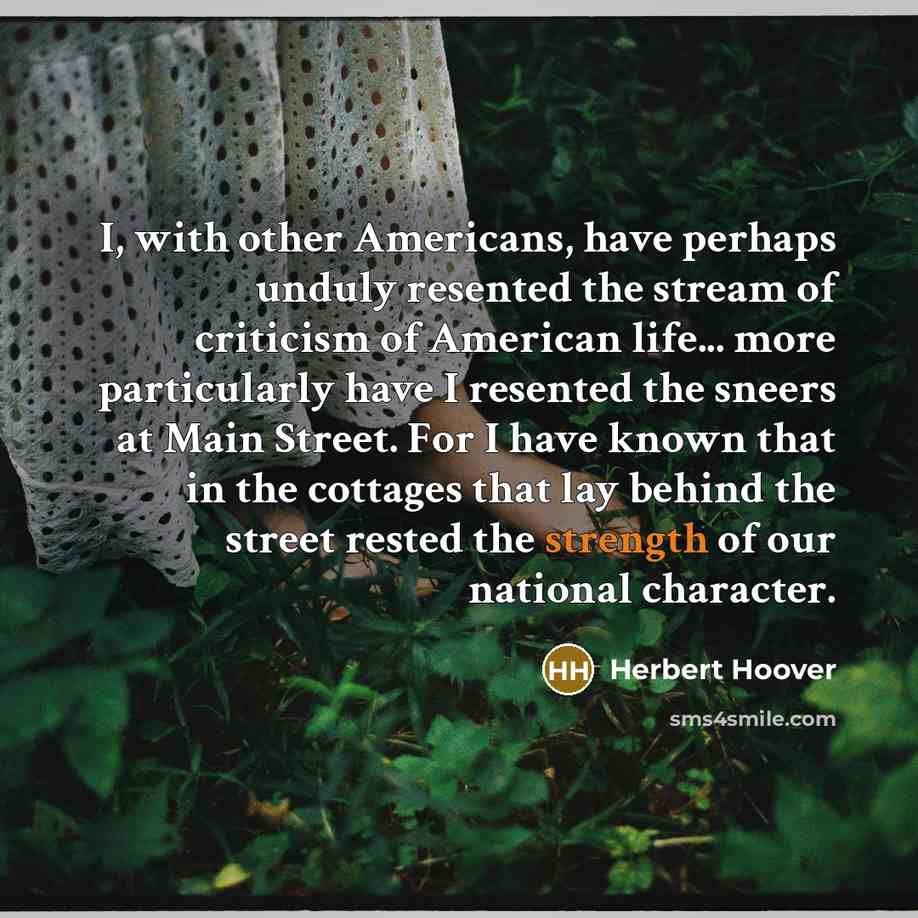 “I, with other Americans, have perhaps unduly resented the stream…” quote by Herbert Hoover