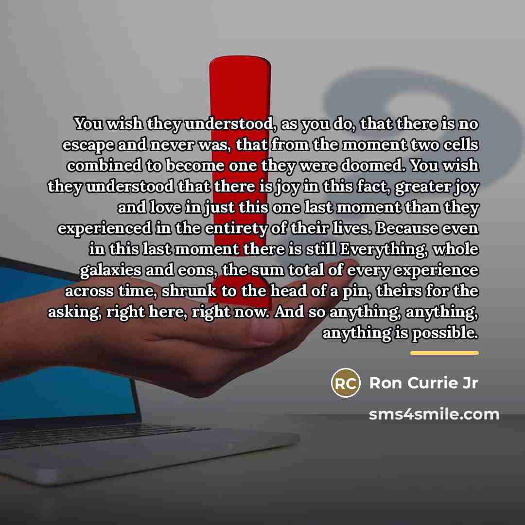 “You wish they understood, as you do, that there is…” quote by Ron Currie Jr