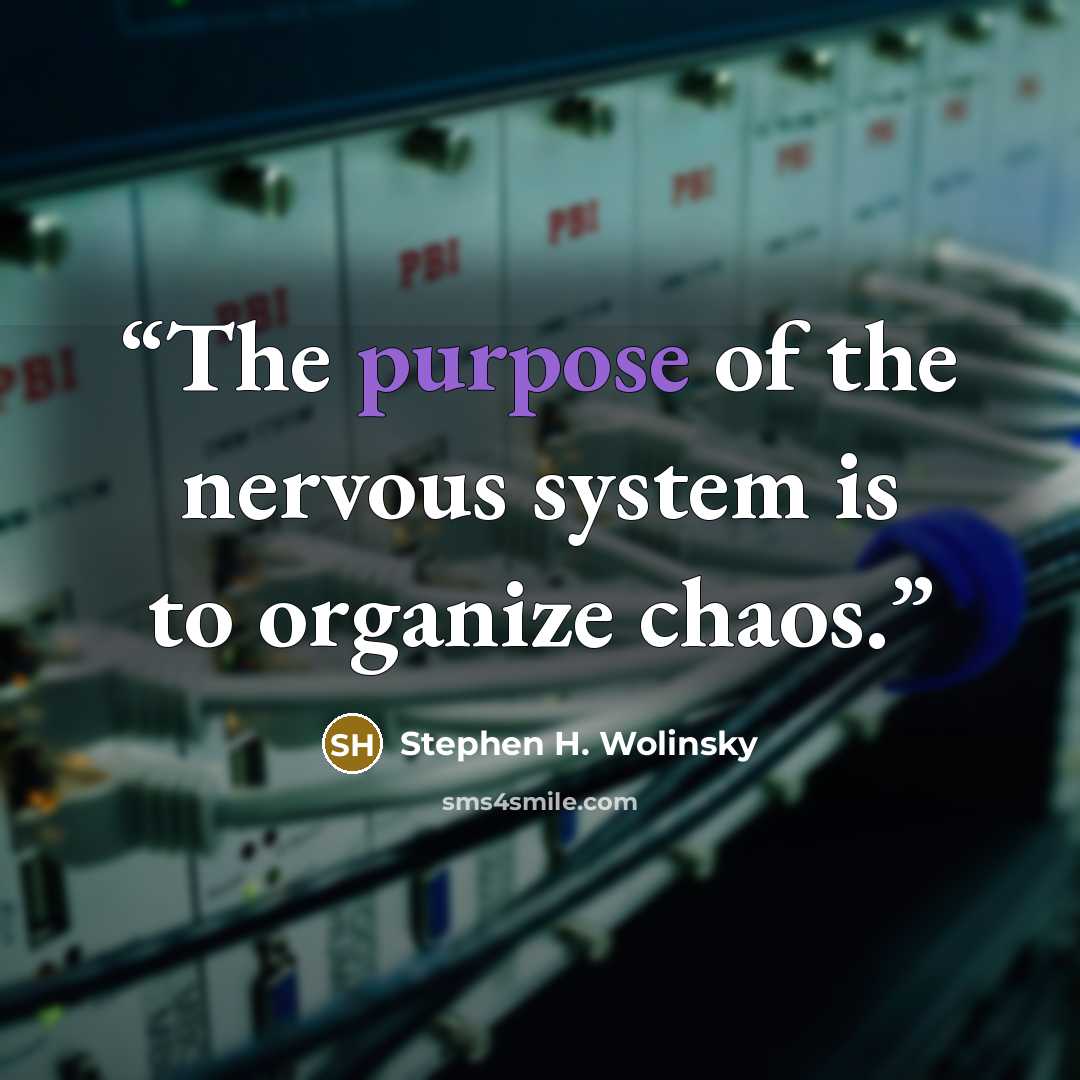 “The purpose of the nervous system is to organize chaos.” quote by Stephen H. Wolinsky