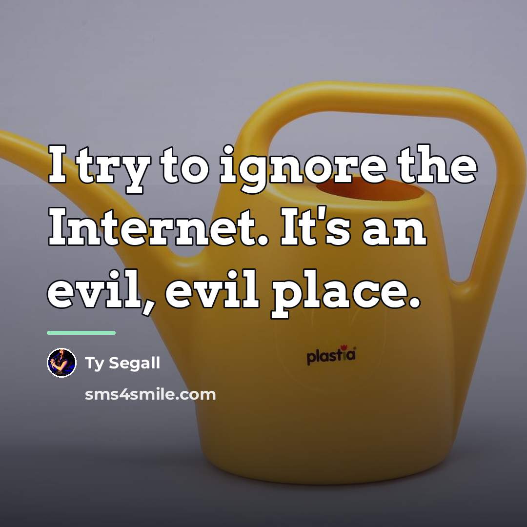 “I try to ignore the Internet. It's an evil, evil…” quote by Ty Segall