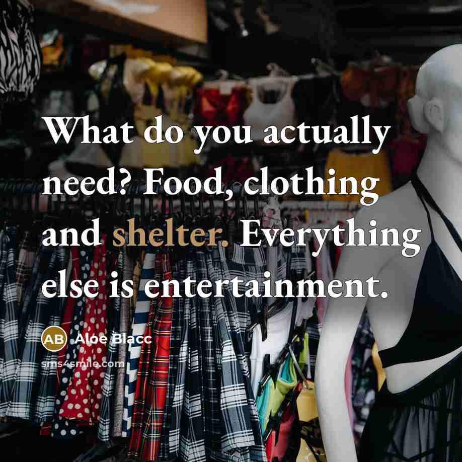 “What do you actually need? Food, clothing and shelter. Everything…” quote by Aloe Blacc