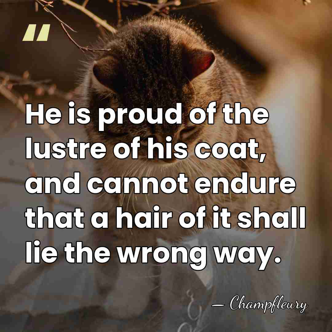 He is proud of the lustre of his coat, and cannot endure&hellip; - Champfleury
