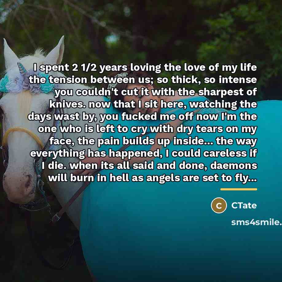 “I spent 2 1/2 years loving the love of my…” quote by CTate