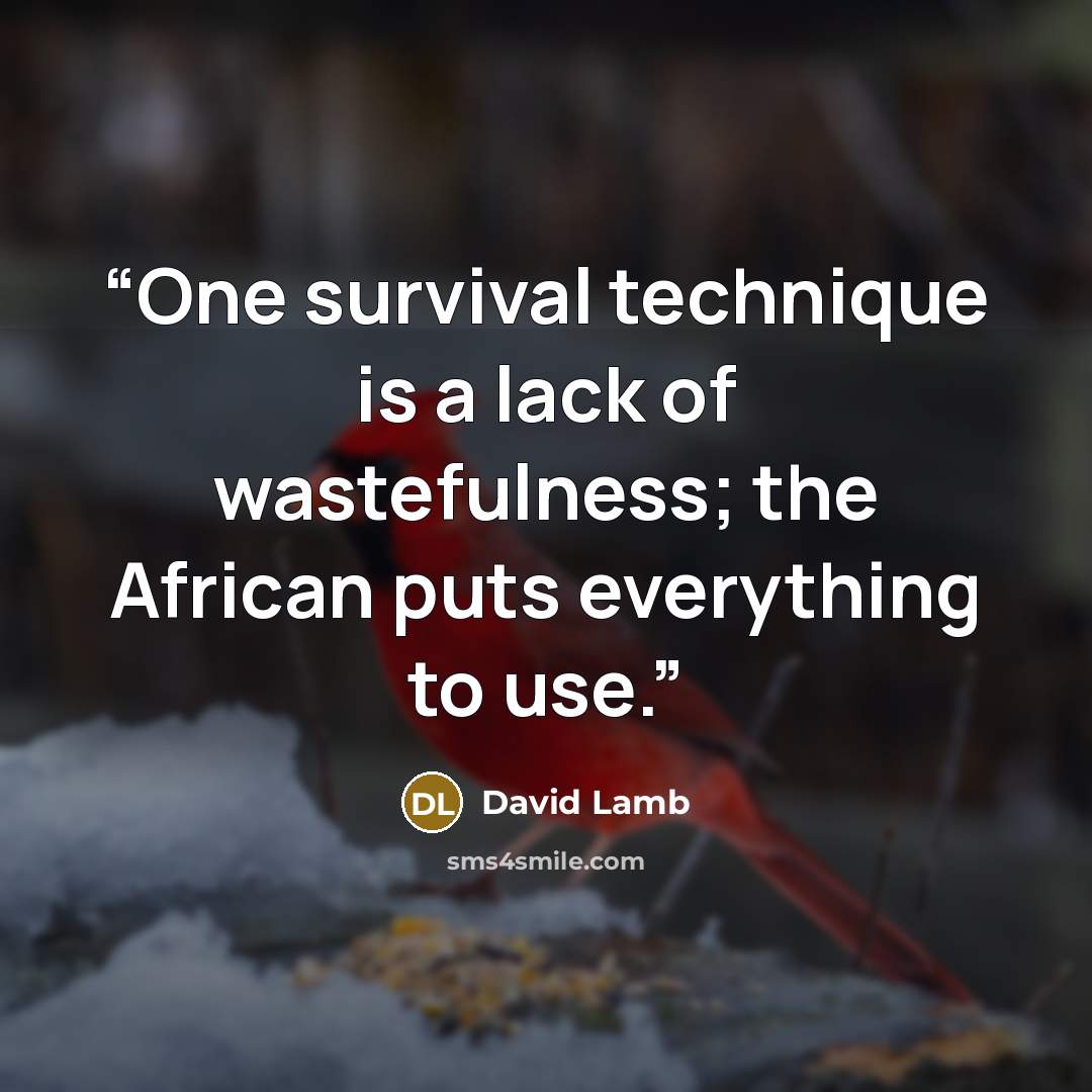 “One survival technique is a lack of wastefulness; the African puts everything to use.” quote by David Lamb