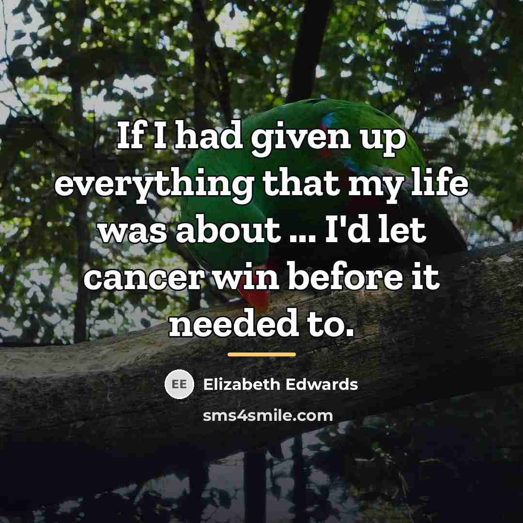 “If I had given up everything that my life was…” quote by Elizabeth Edwards