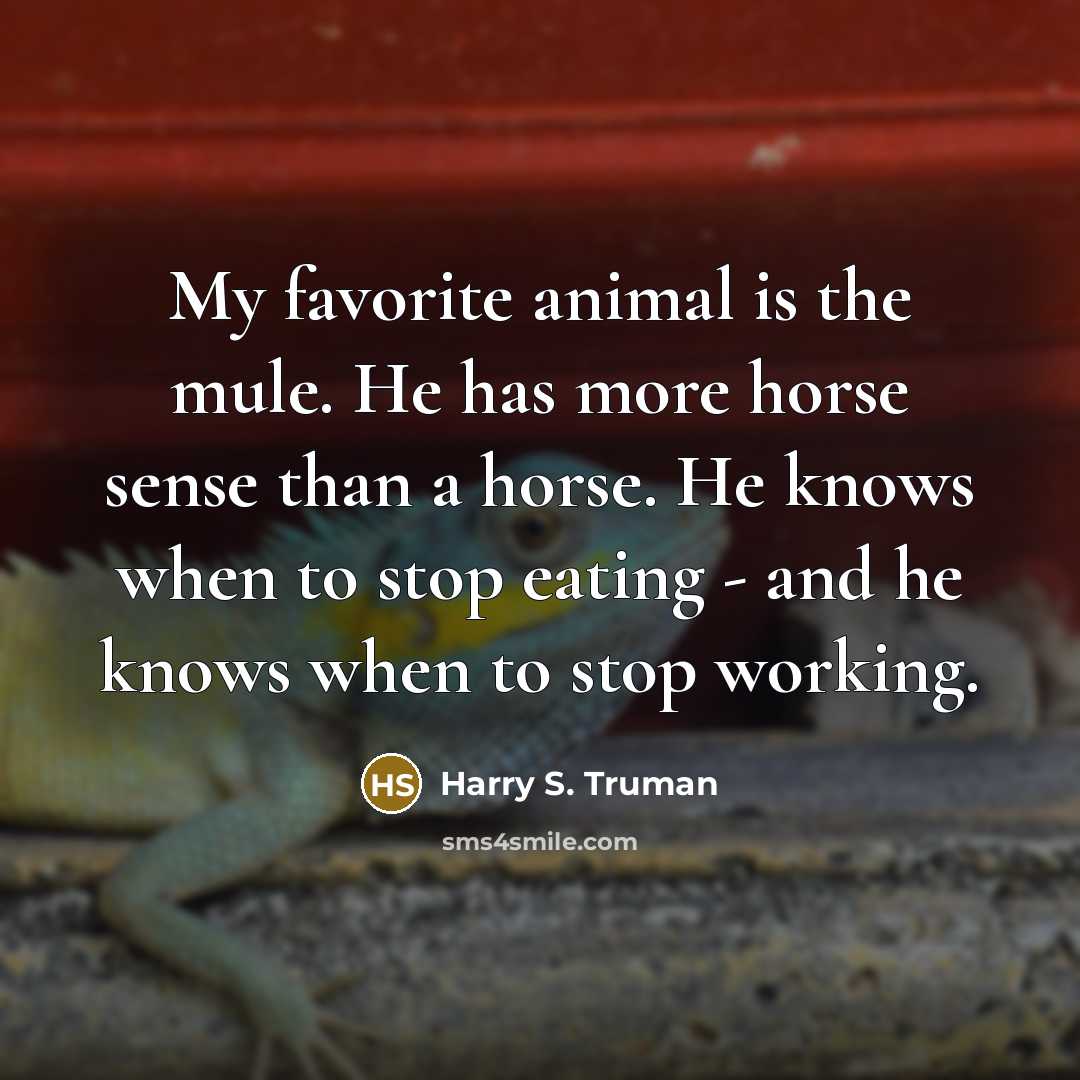 “My favorite animal is the mule. He has more horse…” quote by Harry S. Truman