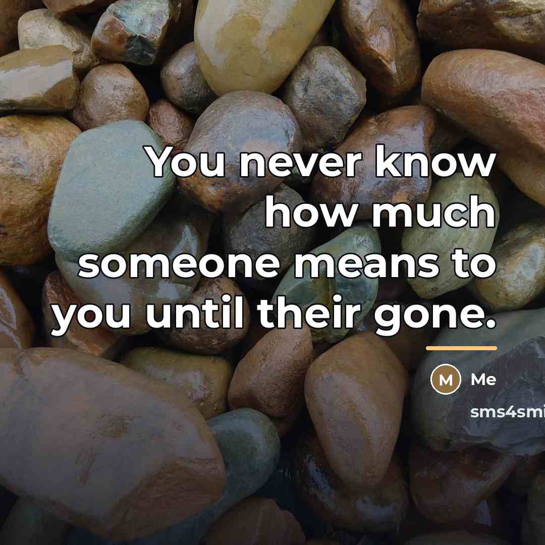 “You never know how much someone means to you until…” quote by Me