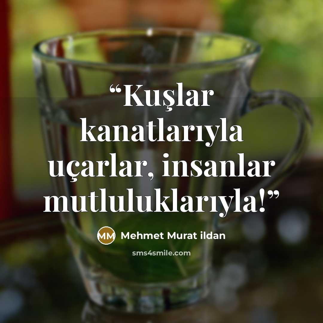“Kuşlar kanatlarıyla uçarlar, insanlar mutluluklarıyla!” quote by Mehmet Murat ildan