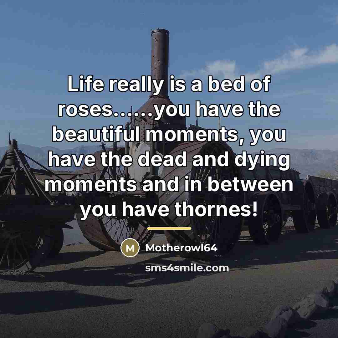 “Life really is a bed of roses......you have the beautiful…” quote by Motherowl64