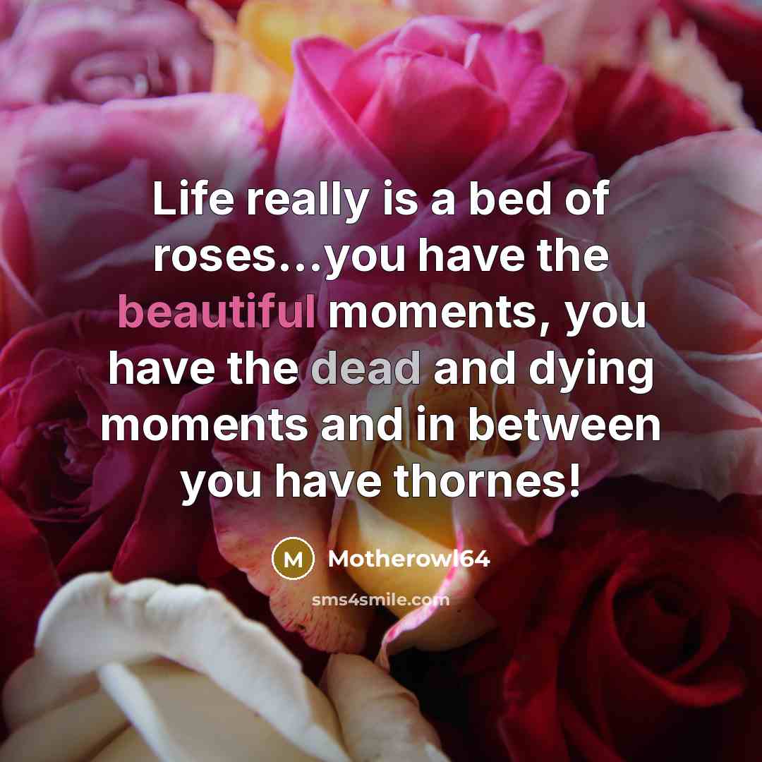 “Life really is a bed of roses…you have the beautiful moments, you have the dead and dying moments and in between you have thornes!” quote by Motherowl64