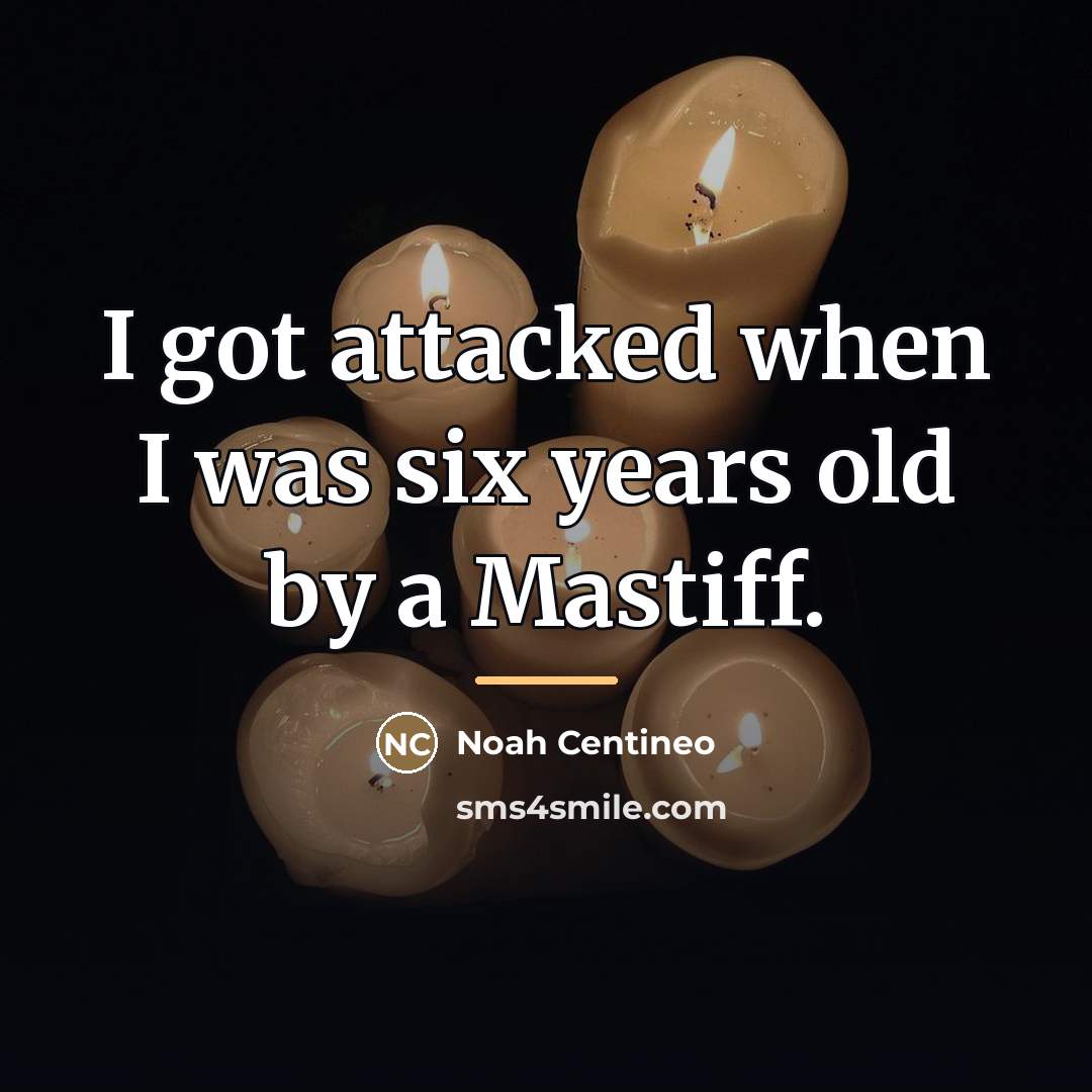 “I got attacked when I was six years old by…” quote by Noah Centineo