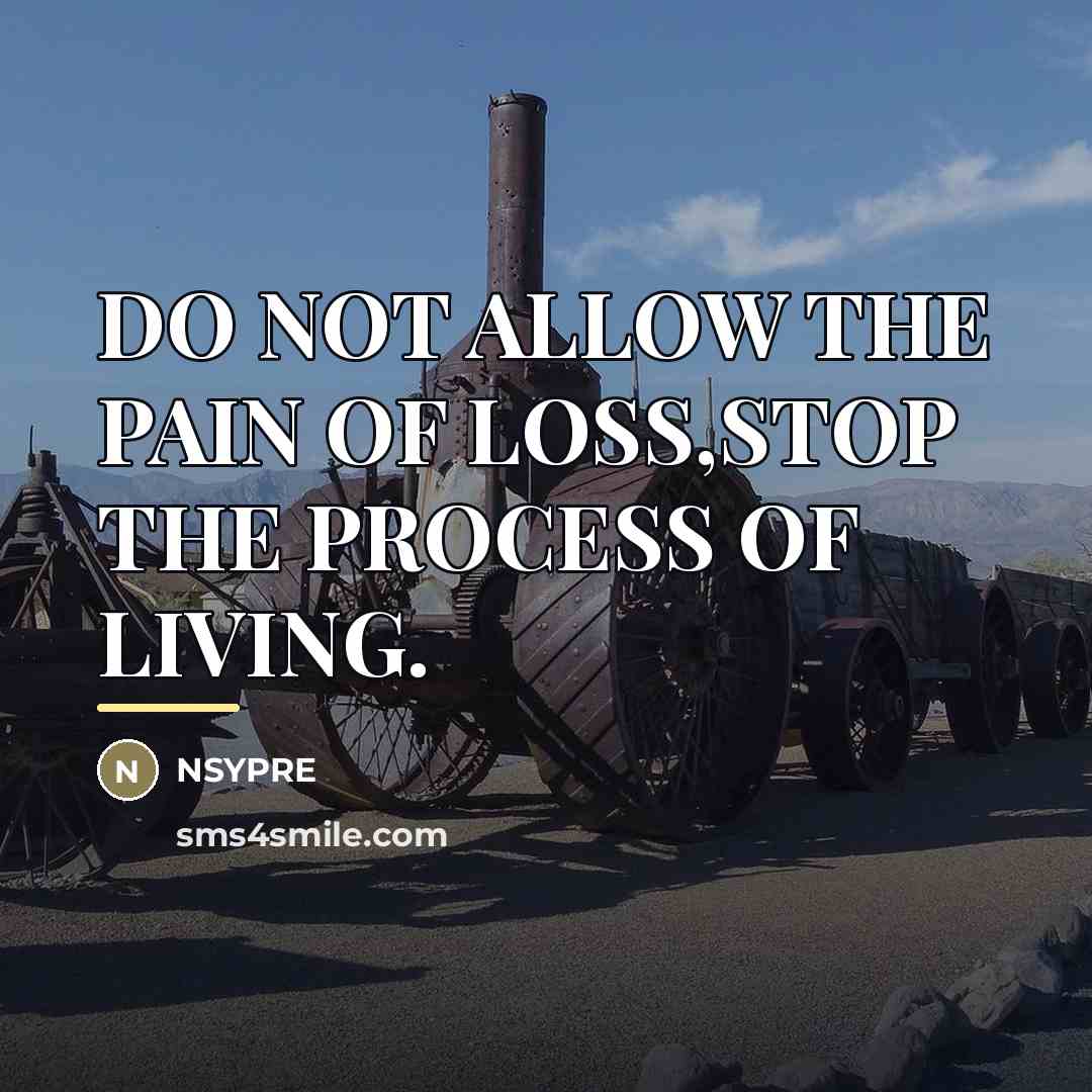 “DO NOT ALLOW THE PAIN OF LOSS,STOP THE PROCESS OF…” quote by Nsypre