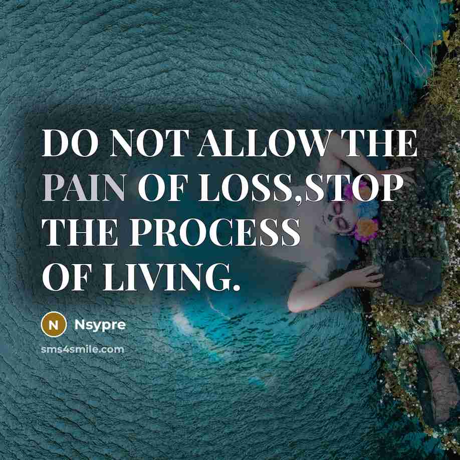 “DO NOT ALLOW THE PAIN OF LOSS,STOP THE PROCESS OF LIVING.” quote by Nsypre