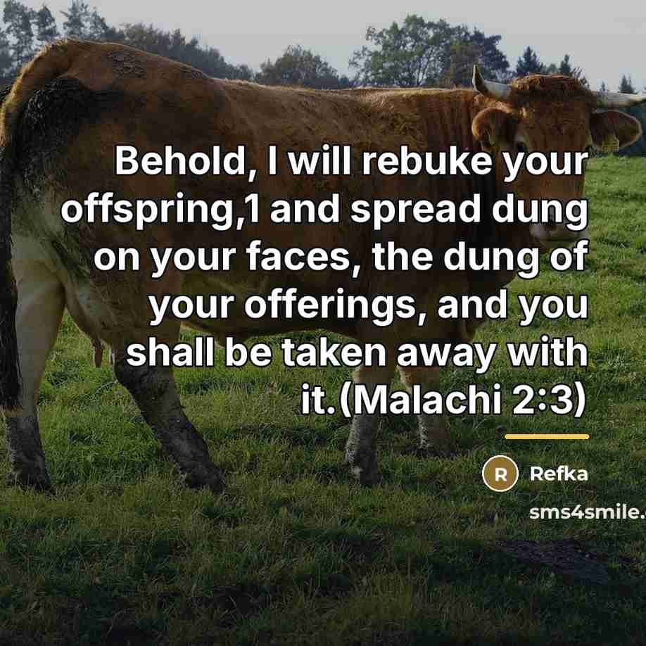 “Behold, I will rebuke your offspring,1 and spread dung on…” quote by Refka