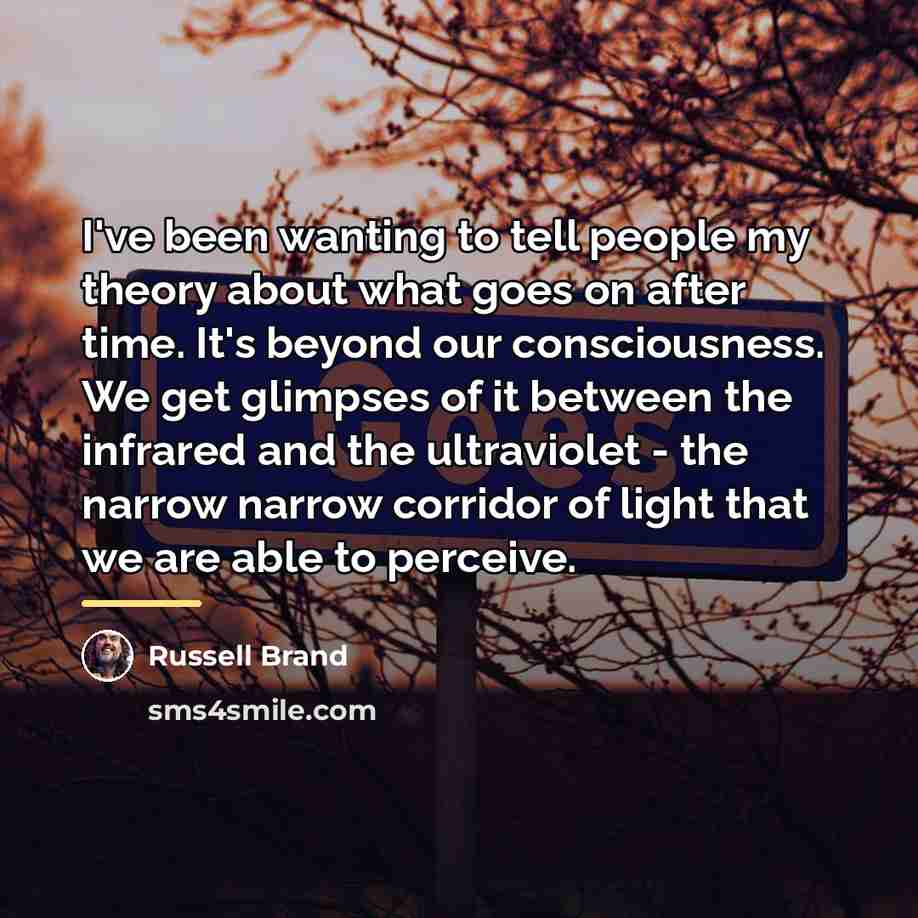 “I've been wanting to tell people my theory about what…” quote by Russell Brand