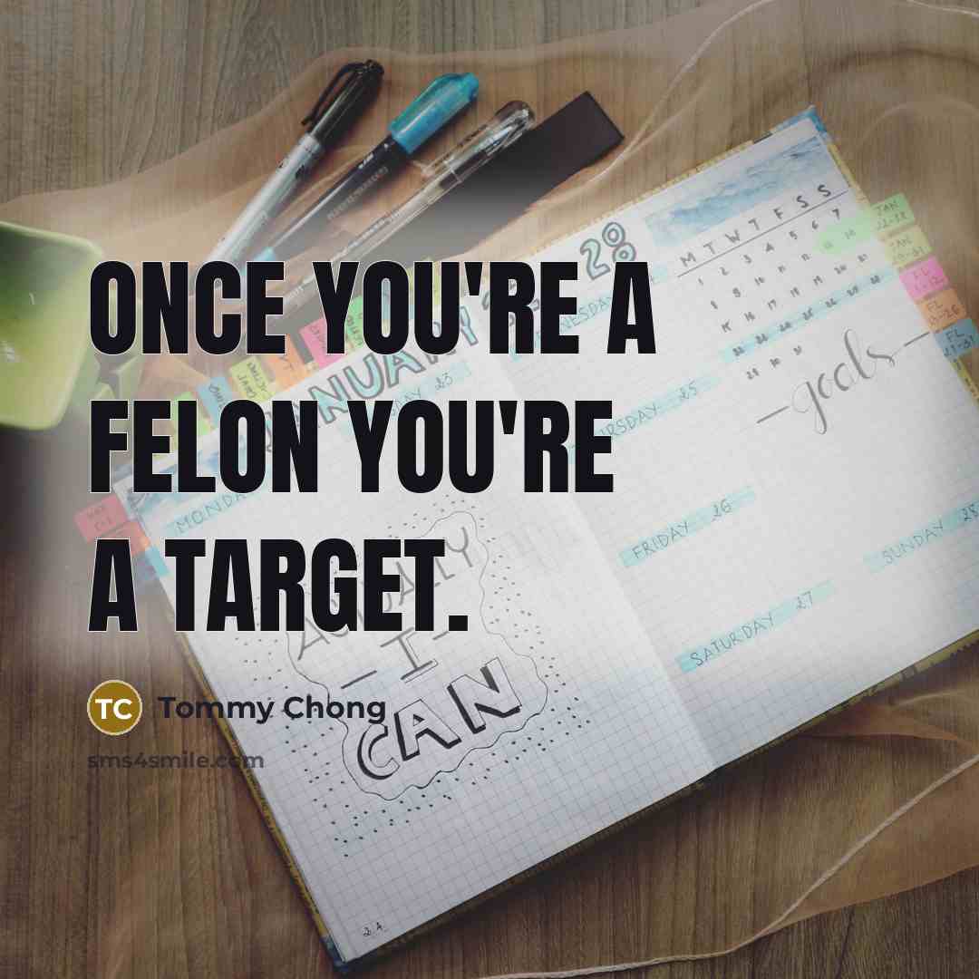 “Once you're a felon you're a target.” quote by Tommy Chong